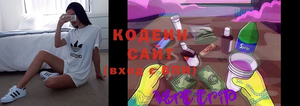 стаф Богданович