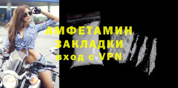 стаф Богданович