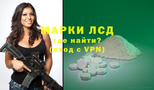 стаф Богданович