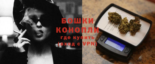 стаф Богданович