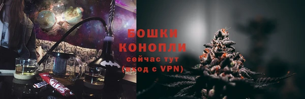 тгк Богородицк