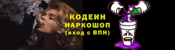 стаф Богданович