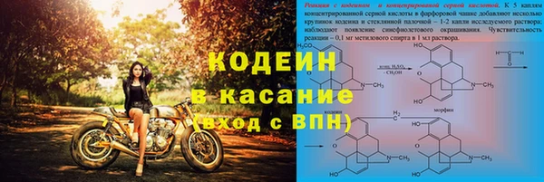 стаф Богданович
