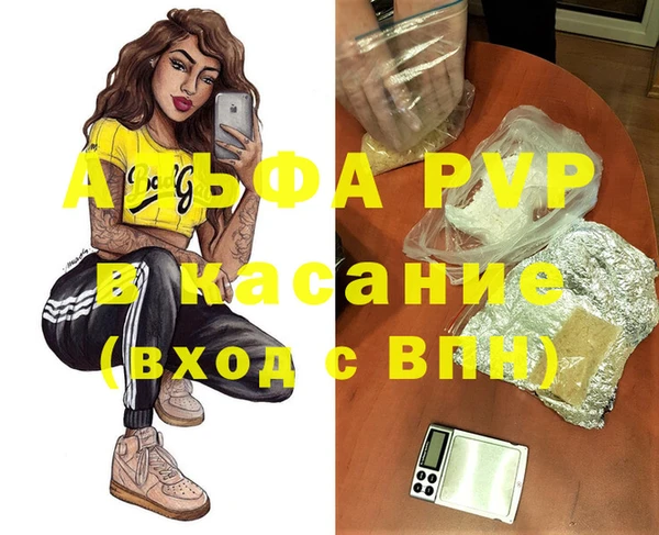 стаф Богданович