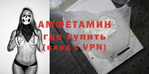 стаф Богданович