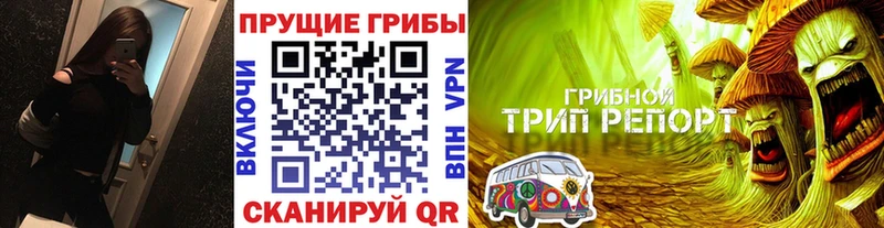 Галлюциногенные грибы мухоморы  OMG   Коряжма 
